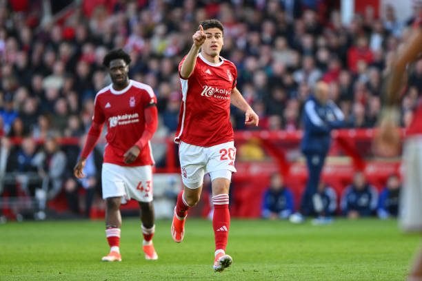 顿凯尔特人 顿凯尔特人